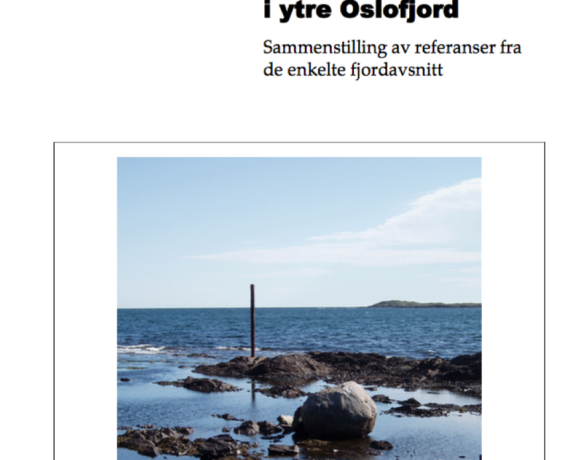 2007_Miljøgiftsituasjonen i Ytre Oslofjord
