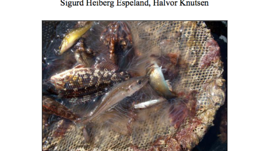 2013_Rapport strandnot Oslofjorden 2012-2013 2013_Rapport strandnot Oslofjorden 2012-2013