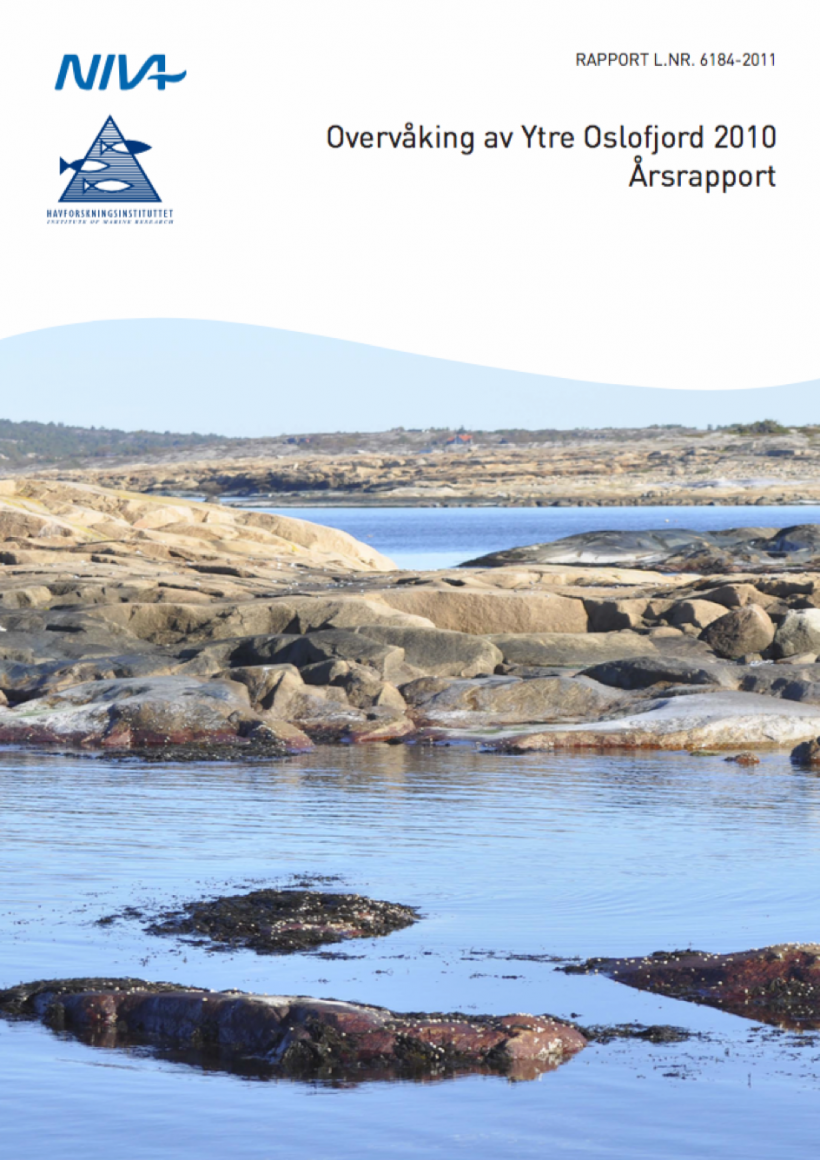 2010_Årsrapport