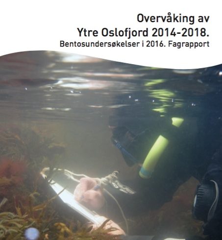 2016_Bentosundersøkelser 2016_Bentosundersøkelser