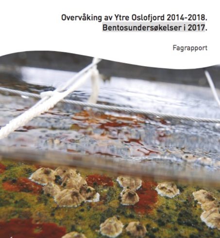 2017_Bentosundersøkelser 2017_Bentosundersøkelser