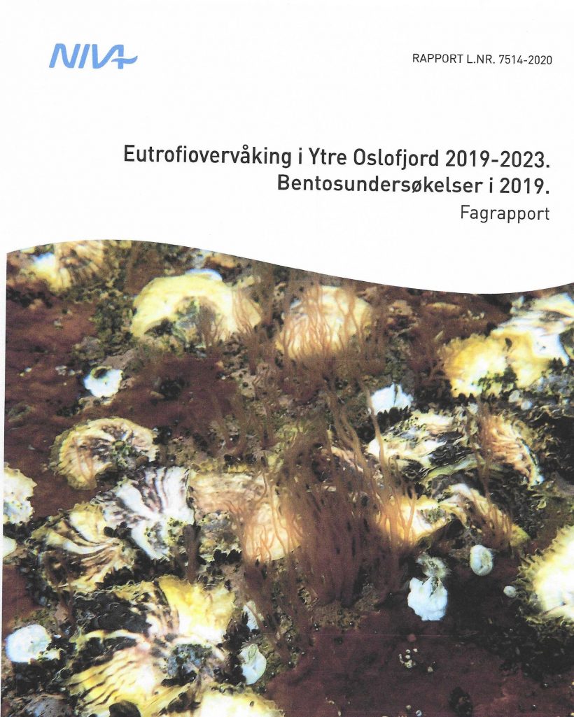 2019_Bentosundersøkelser 2019_Bentosundersøkelser