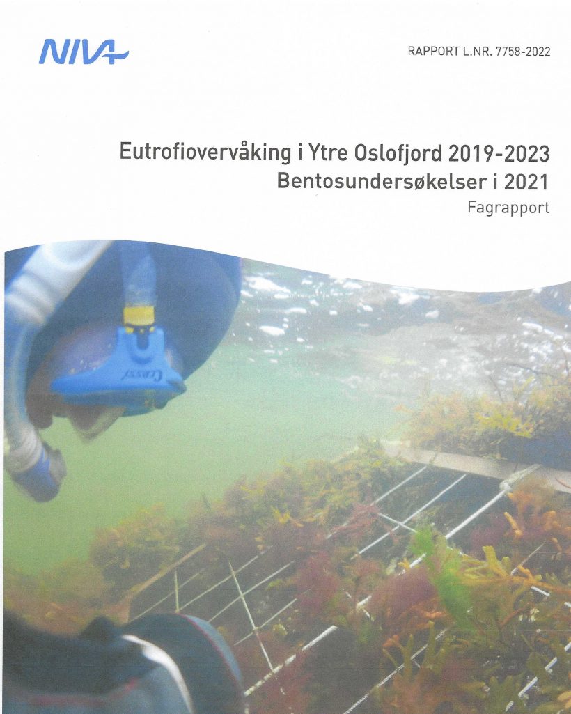 2021_Bentosundersøkelser 2021_Bentosundersøkelser