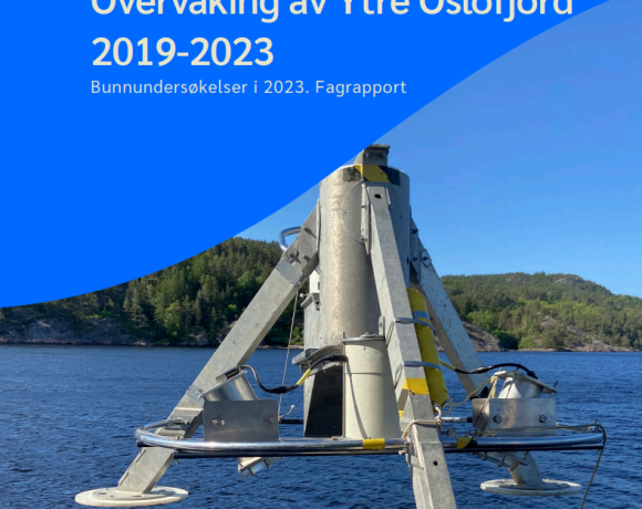 2023_Bunnundersøkelser