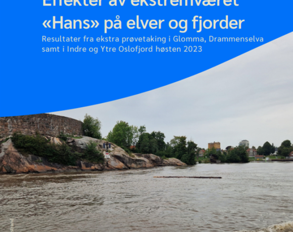 2023_Effekter av ekstremværet «Hans» på elver og fjorder