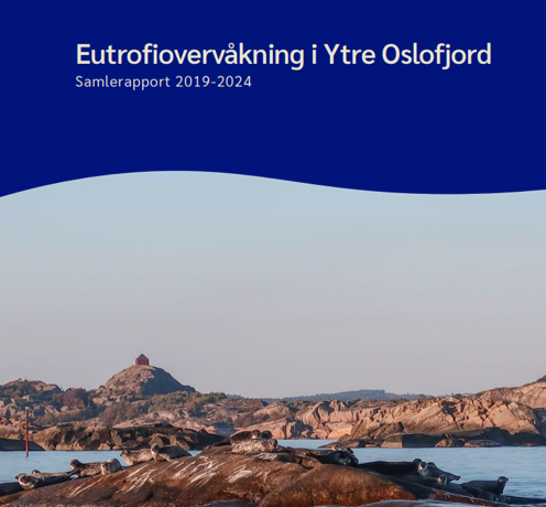 2024_Seksårsrapport overvåkning 2019-2024