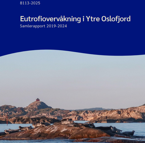 2024_Seksårsrapport overvåkning 2019-2024