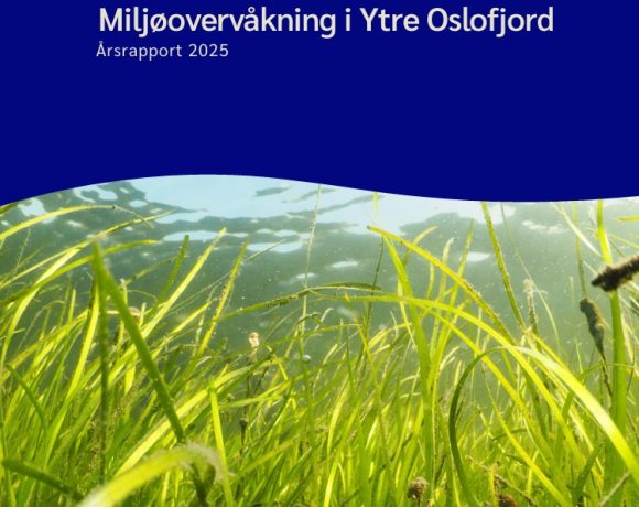 2025_Årsrapport 2025_Årsrapport