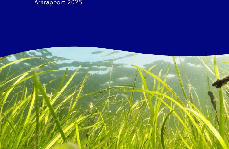 2025_Årsrapport 2025_Årsrapport