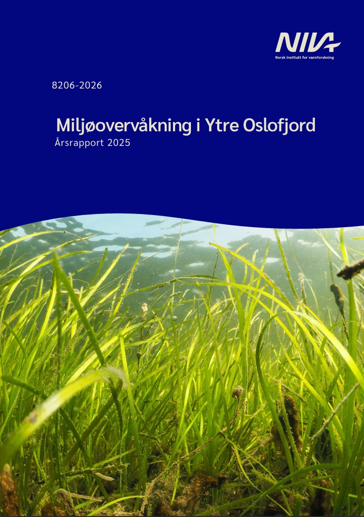 2025_Årsrapport 2025_Årsrapport